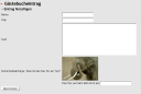 Das Idioten-Captcha